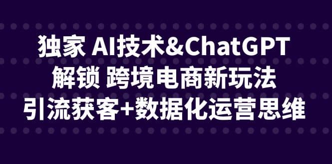 独家 AI技术ChatGPT解锁 跨境电商新玩法，引流获客+数据化运营思维 - 维兴科技-维兴科技