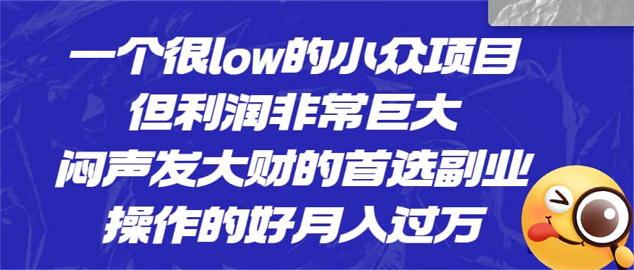 一个很low的小众项目，但利润非常巨大，闷声发大财的首选副业，月入过万 - 维兴科技-维兴科技