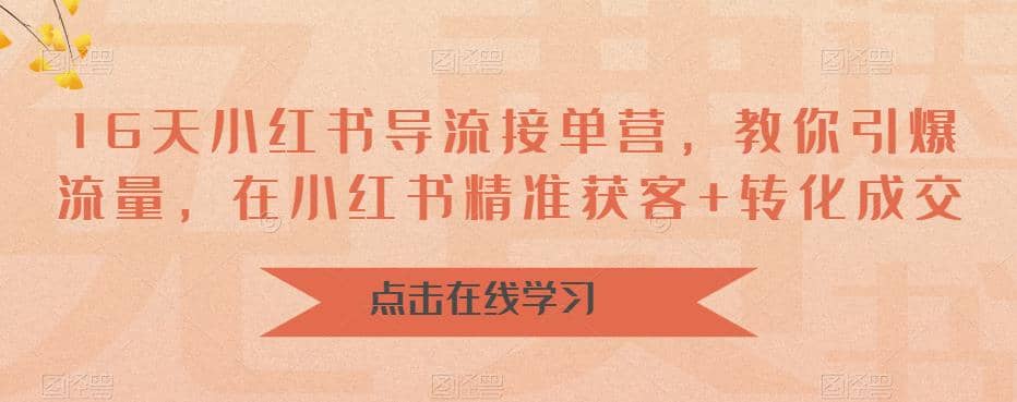16天-小红书 导流接单营，教你引爆流量，在小红书精准获客+转化成交 - 维兴科技-维兴科技