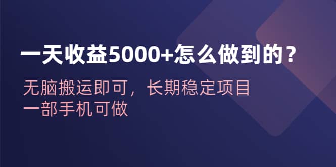 一天收益5000+怎么做到的？无脑搬运即可，长期稳定项目，一部手机可做 - 维兴科技-维兴科技