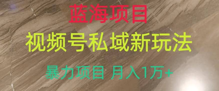 蓝海项目，视频号私域新玩法，暴力项目月入1万+【揭秘】 - 维兴科技-维兴科技