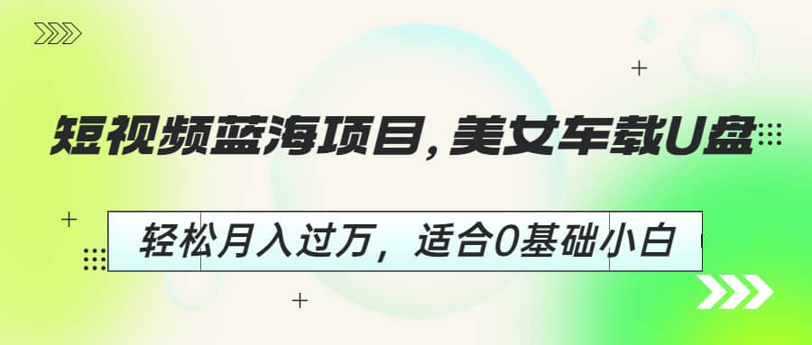 短视频蓝海项目，美女车载U盘，轻松月入过万，适合0基础小白 - 维兴科技-维兴科技