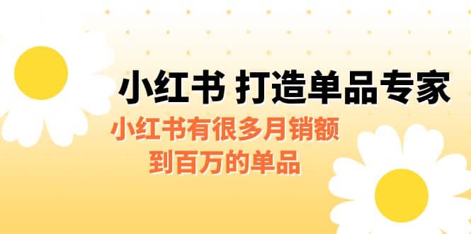 某公众号付费文章《小红书 打造单品专家》小红书有很多月销额到百万的单品 - 维兴科技-维兴科技