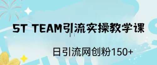 ST TEAM引流实操课，日引流网创粉100+ - 维兴科技-维兴科技