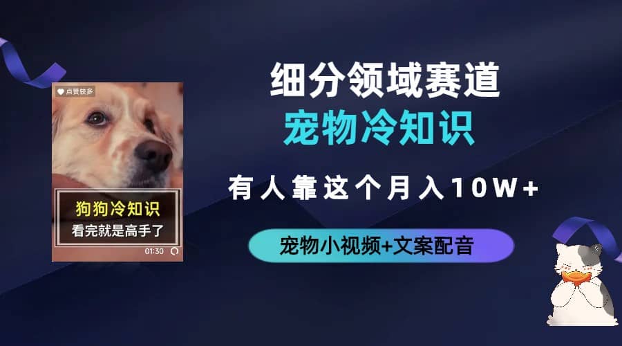 不起眼的抖音细分赛道-宠物冷知识，一段宠物视频配文案，有人靠这个月入10w - 维兴科技-维兴科技