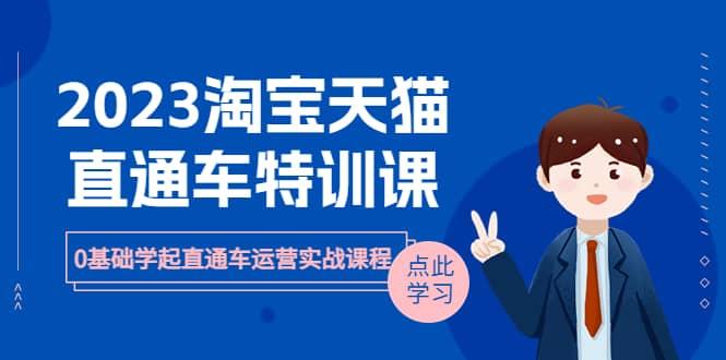 2023淘宝·天猫直通车评特训课，0基础学起直通车运营实战课程（8节课时） - 维兴科技-维兴科技