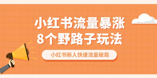 小红书流量-暴涨8个野路子玩法：小红书新人快速流量破局（8节课） - 维兴科技-维兴科技