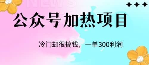 冷门公众号加热项目，一单利润300+ - 维兴科技-维兴科技