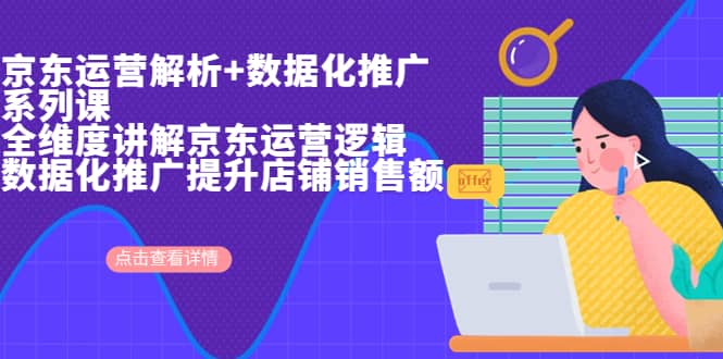 京东运营解析与数据化推广系列课，全维度讲解京东运营逻辑+数据化推广提升店铺销售额 - 维兴科技-维兴科技
