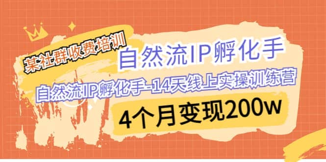 某社群收费培训：自然流IP 孵化手-14天线上实操训练营 4个月变现200w - 维兴科技-维兴科技