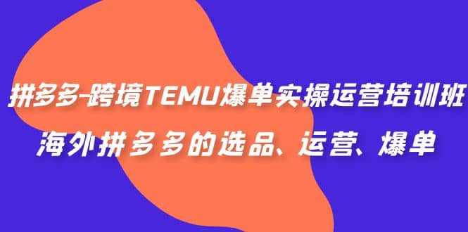 拼多多-跨境TEMU爆单实操运营培训班，海外拼多多的选品、运营、爆单 - 维兴科技-维兴科技