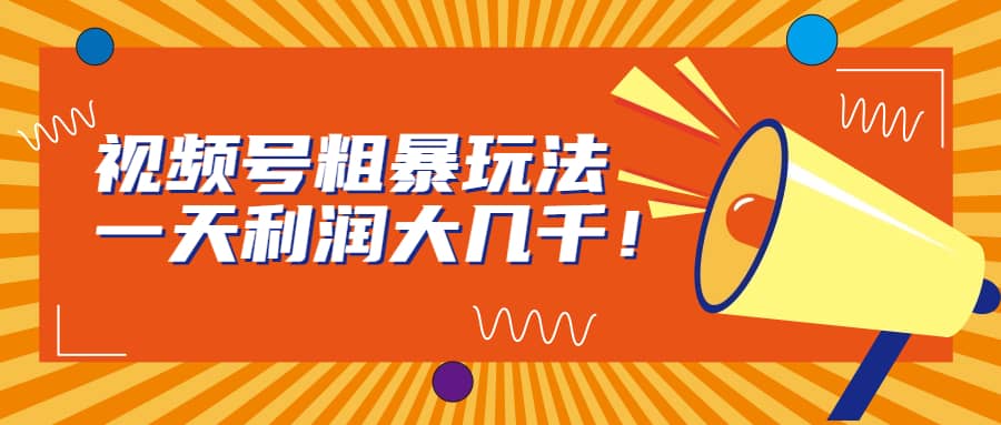 视频号粗暴玩法，一天利润大几千 - 维兴科技-维兴科技