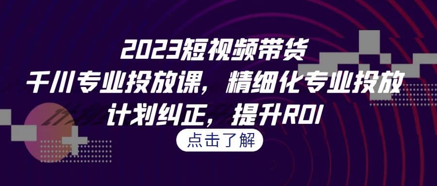 2023短视频带货-千川专业投放课，精细化专业投放，计划纠正，提升ROI - 维兴科技-维兴科技