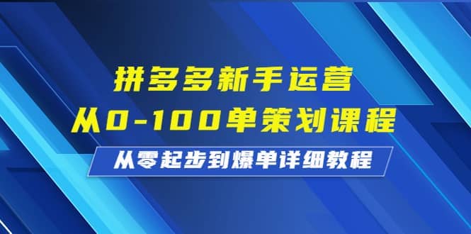 拼多多新手运营从0-100单策划课程，从零起步到爆单详细教程 - 维兴科技-维兴科技