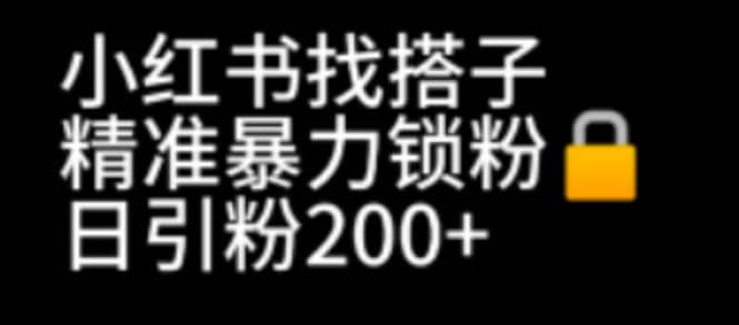 小红书找搭子暴力精准锁粉+引流日引200+精准粉 - 维兴科技-维兴科技