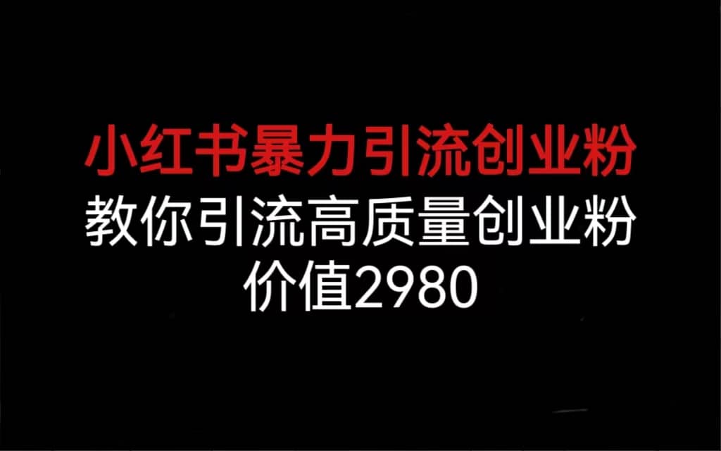 小红书暴力引流创业粉，教你引流高质量创业粉，价值2980 - 维兴科技-维兴科技
