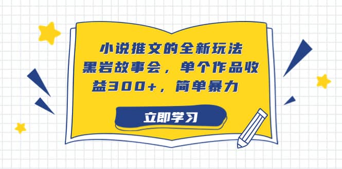小说推文的全新玩法，黑岩故事会，单个作品收益300+，简单暴力 - 维兴科技-维兴科技