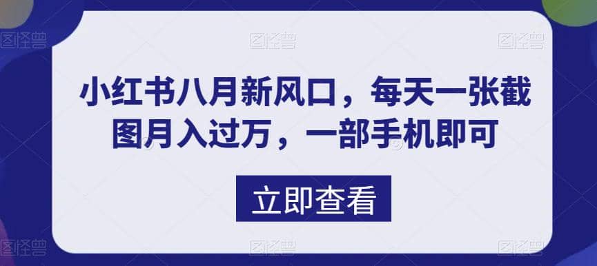 八月新风口，小红书虚拟项目一天收入1000+，实战揭秘 - 维兴科技-维兴科技