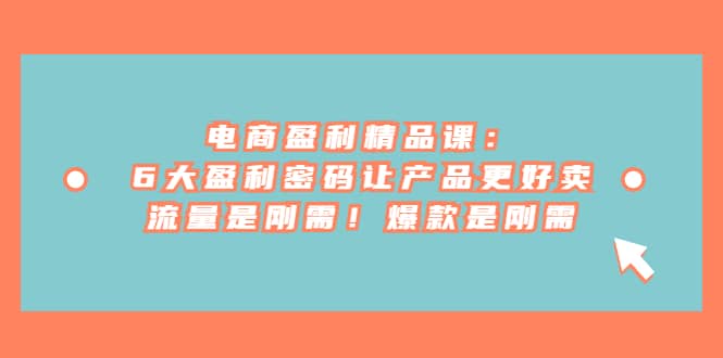 电商 盈利精品课：6大盈利 密码让产品更好卖，流量是刚需！爆款是刚需 - 维兴科技-维兴科技