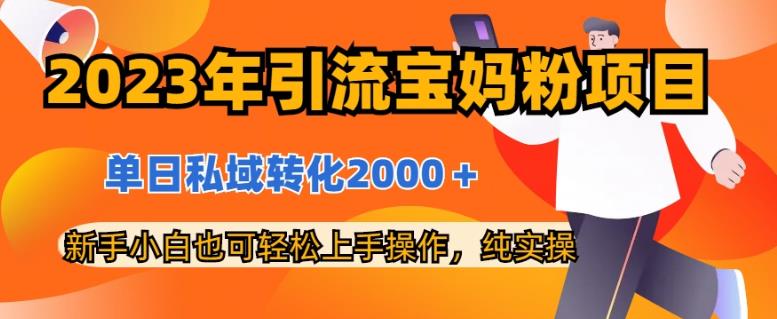 2023年引流宝妈粉项目，单日私域转化2000＋，新手小白也可轻松上手操作，纯实操 - 维兴科技-维兴科技