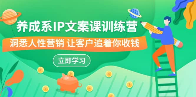 养成系-IP文案课训练营，文案心法的天花板 洞悉人性营销 让客户追着你收钱 - 维兴科技-维兴科技