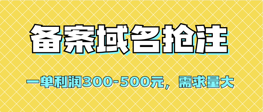 【全网首发】备案域名抢注，一单利润300-500元，需求量大 - 维兴科技-维兴科技