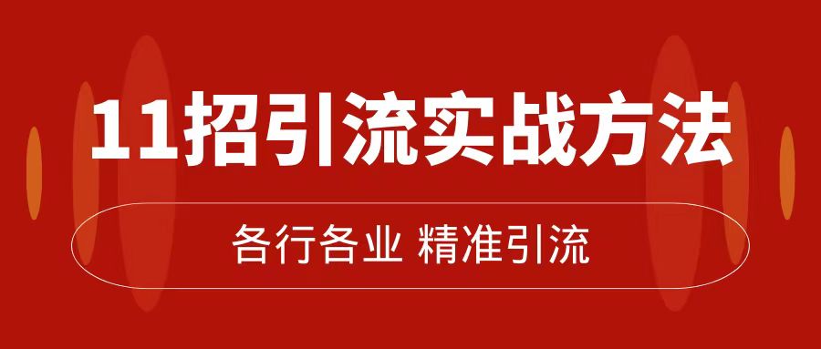 精准引流术：11招引流实战方法，让你私域流量加到爆（11节课完整版） - 维兴科技-维兴科技