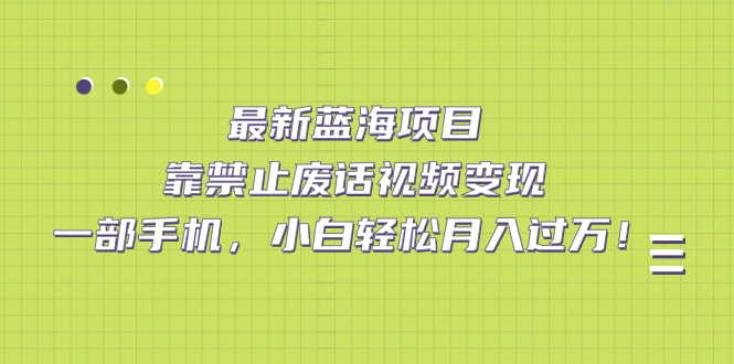 最新蓝海项目，靠禁止废话视频变现，一部手机，小白轻松月入过万！ - 维兴科技-维兴科技
