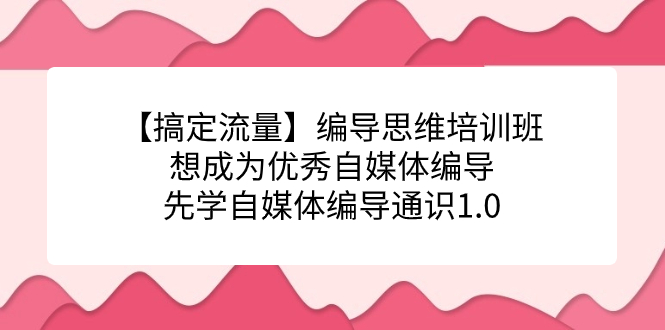 【搞定流量】编导思维培训班，想成为优秀自媒体编导先学自媒体编导通识1.0 - 维兴科技-维兴科技