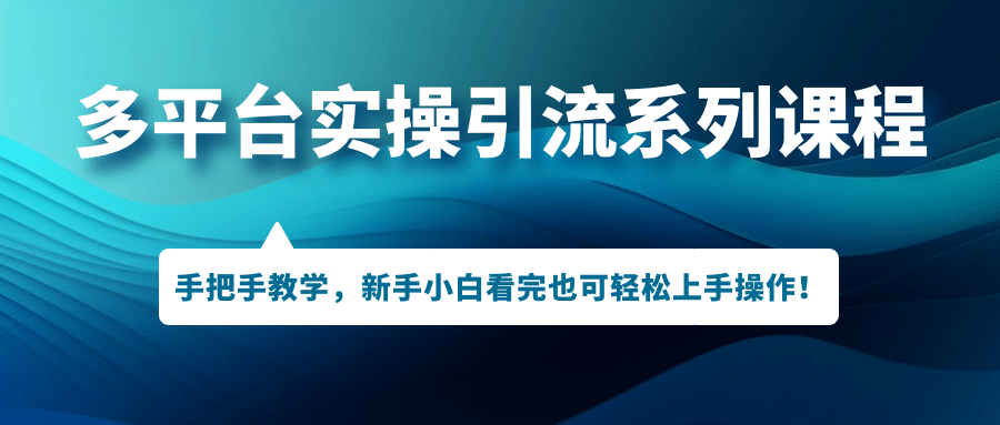 多平台实操引流系列课程，手把手教学，新手小白看完也可轻松上手引流操作 - 维兴科技-维兴科技