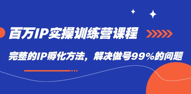 百万IP实战训练营课程，完整的IP孵化方法，解决做号99%的问题 - 维兴科技-维兴科技
