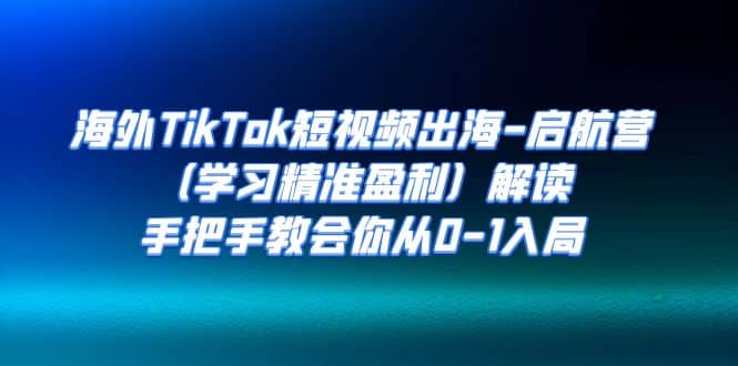 海外TikTok短视频出海-启航营（学习精准盈利）解读，手把手教会你从0-1入局 - 维兴科技-维兴科技