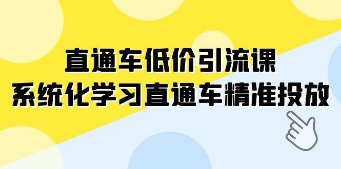 直通车-低价引流课，系统化学习直通车精准投放（14节课） - 维兴科技-维兴科技