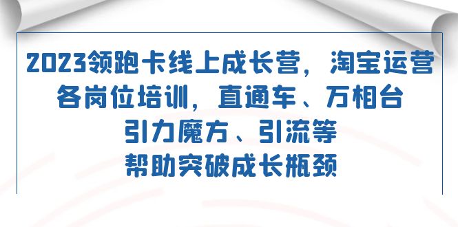 2023领跑·卡 线上成长营 淘宝运营各岗位培训 直通车 万相台 引力魔方 引流 - 维兴科技-维兴科技
