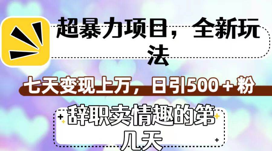 超暴利项目，全新玩法（辞职卖情趣的第几天），七天变现上万，日引500+粉 - 维兴科技-维兴科技
