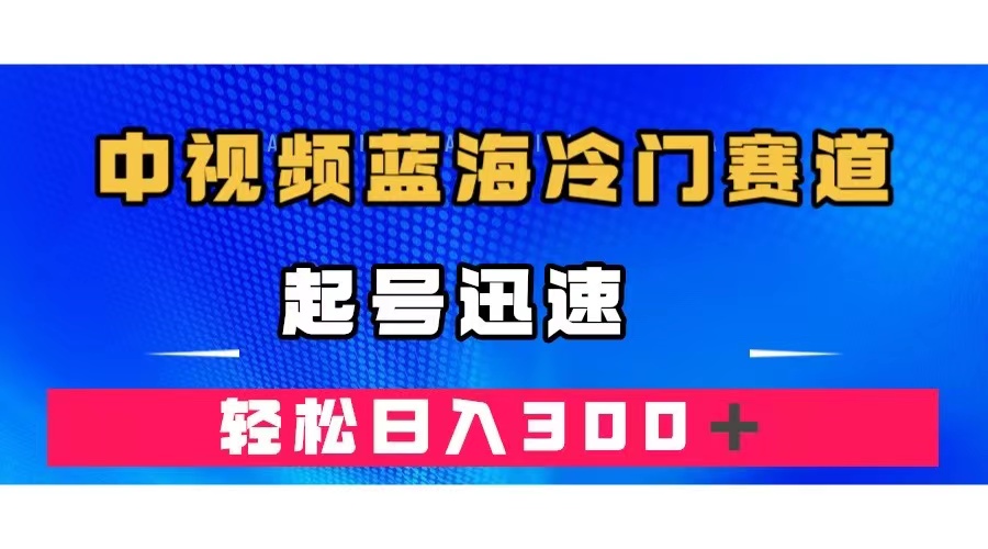 中视频蓝海冷门赛道，韩国视频奇闻解说，起号迅速，日入300＋ - 维兴科技-维兴科技