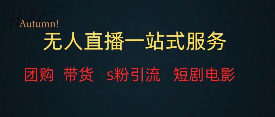 无人直播全套服务，变现稳定 - 维兴科技-维兴科技