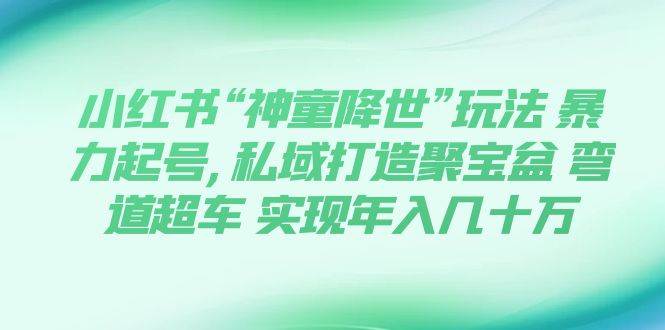 小红书“神童降世”玩法 暴力起号,私域打造聚宝盆 弯道超车 实现年入几十万 - 维兴科技-维兴科技