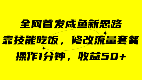 咸鱼冷门新玩法，靠“技能吃饭”，修改流量套餐，操作1分钟，收益50+ - 维兴科技-维兴科技