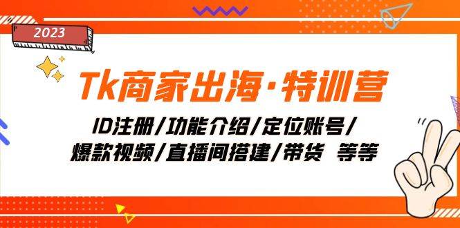 Tk商家出海·特训营：ID注册/功能介绍/定位账号/爆款视频/直播间搭建/带货 - 维兴科技-维兴科技