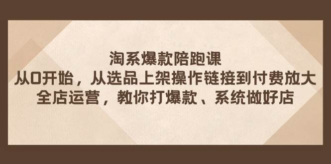 淘系爆款陪跑课 从选品上架操作链接到付费放大 全店运营 打爆款 系统做好店 - 维兴科技-维兴科技
