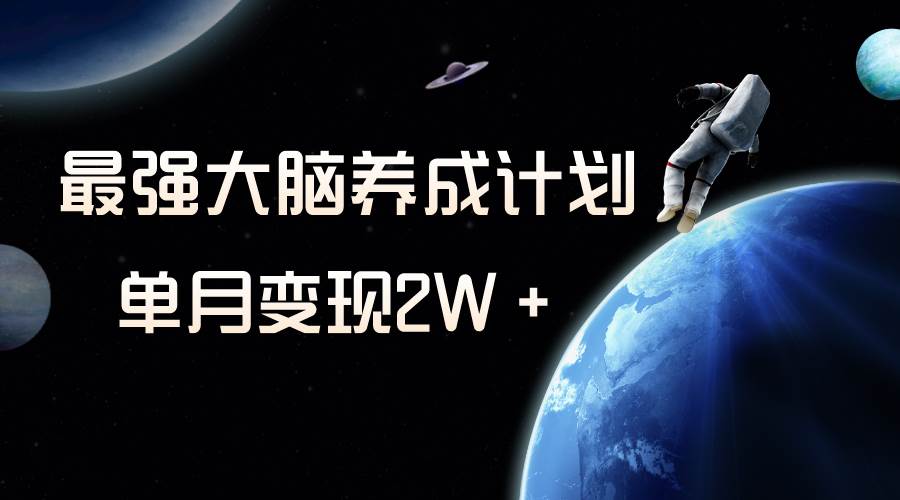 冷门虚拟项目，最强大脑养成计划，一个月变现2W＋ - 维兴科技-维兴科技