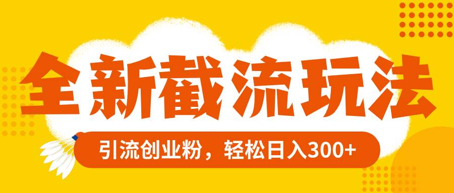 全新截流玩法，精准引流创业粉，轻松日入300+ - 维兴科技-维兴科技