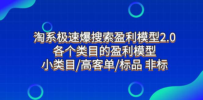 淘系极速爆搜索盈利模型2.0，各个类目的盈利模型，小类目/高客单/标品 非标 - 维兴科技-维兴科技