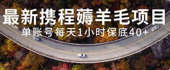 最新携程薅羊毛项目，单账号每天1小时保底收益40+，可矩阵操作 - 维兴科技-维兴科技
