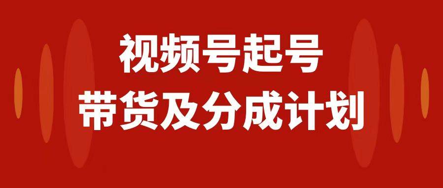 视频号快速起号，分成计划及带货，0-1起盘、运营、变现玩法，日入1000+ - 维兴科技-维兴科技
