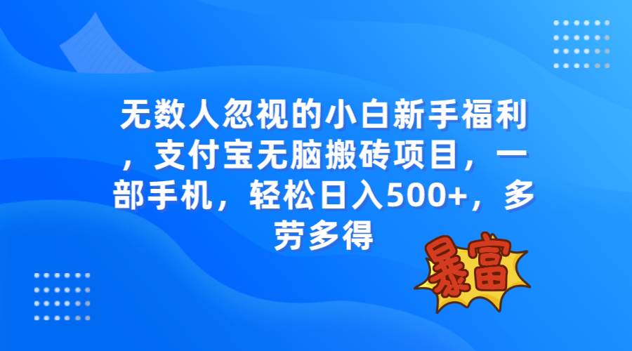 无数人忽视的项目，支付宝无脑搬砖项目，一部手机即可操作，轻松日入500+ - 维兴科技-维兴科技