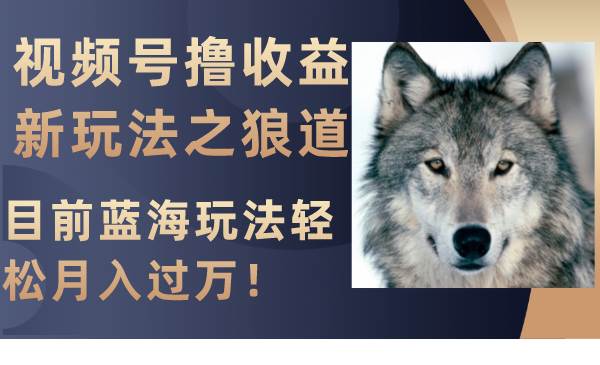 视频号撸收益新玩法之狼道，目前蓝海玩法轻松月入过万！ - 维兴科技-维兴科技