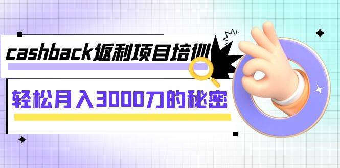cashback返利项目培训：轻松月入3000刀的秘密（8节课） - 维兴科技-维兴科技