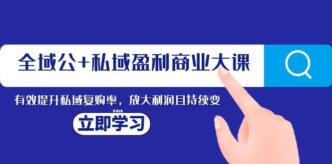 全域公+私域盈利商业大课，有效提升私域复购率，放大利润且持续变现 - 维兴科技-维兴科技